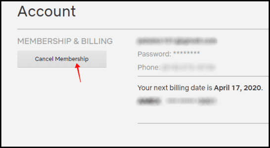 Netflix cancel account cancel membership